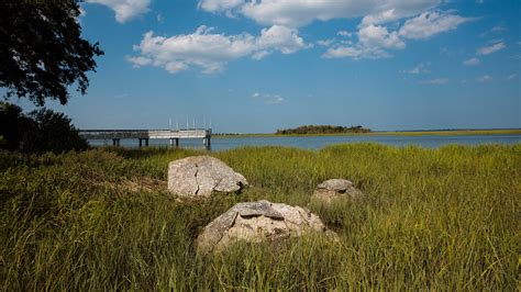 A Vanishing Masterpiece in the Georgia Marshes - The New York Times