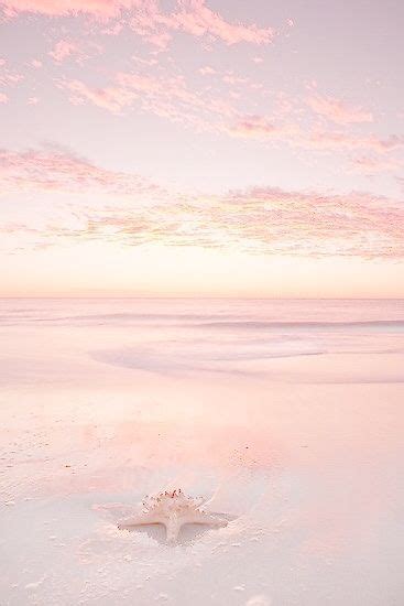 Pink Sunset On The Beach Wallpapers Bonitos Planos De Fundo Rosas