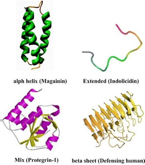 Structures Type Of Antimicrobial Peptides Download Scientific Diagram