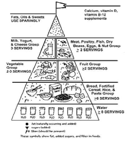 11 Food Pyramid Activity Worksheets Worksheeto Com