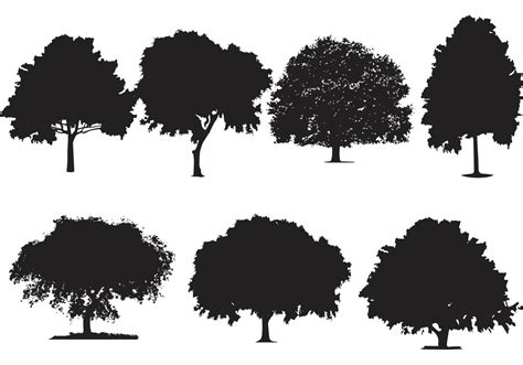 Oak Tree Silhouette Vectors Download Free Vector Art Stock Graphics