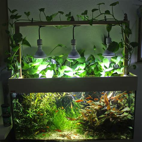 Maybe you would like to learn more about one of these? Aquaworld Aquarium - Do it Yourself (DIY) LED Aquarium ...