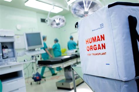 Pusat sumber transplan nasional (pstn) national transplant. 5 Negara Paling Ramai Penderma Organ Untuk Pesakit | Iluminasi