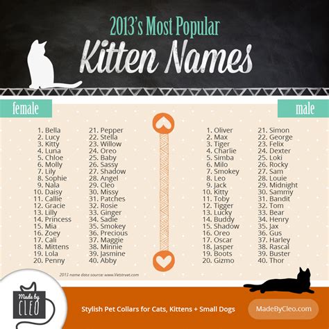 Infographic Most Popular Kitten Names 2013 Shows Top 40 Names For