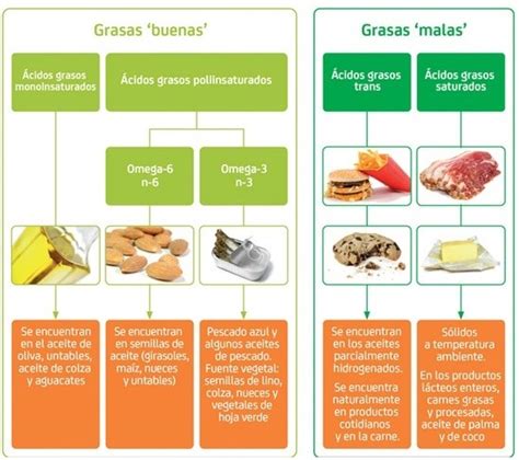 Las Grasas En El Deporte Grasas Buenas Y Grasas Malas Salud Y