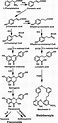 The Schema of plant flavonoids biosynthesis. PAL Phenylalanine ammonia ...