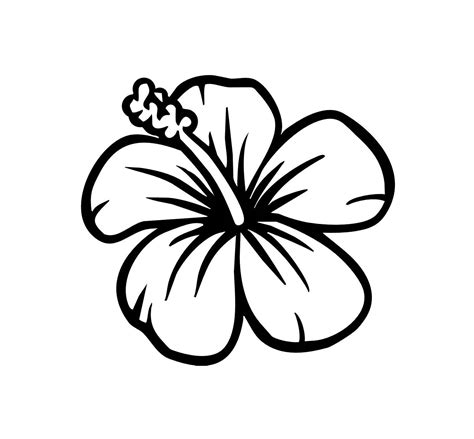 Hibiscus Line Drawing Clipart Best