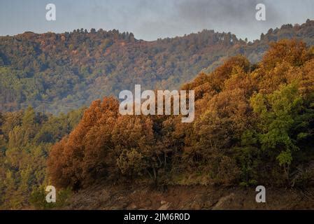 Sunrise At The Baells Reservoir During The Summer Drought Of