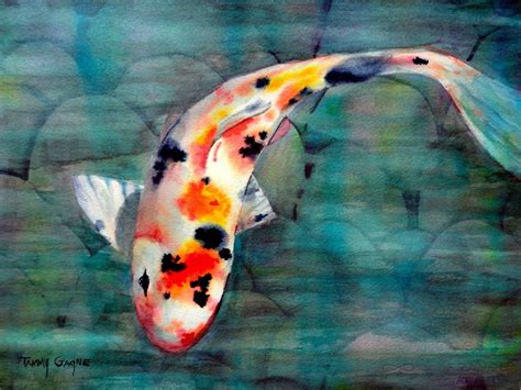 Japanese Koi Fish Acrylic Paintings Wtm Publications Home Koi
