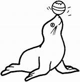 Seal Coloring Circus sketch template