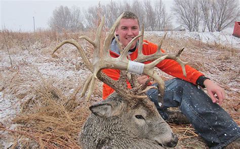 230 Inch Fatherson Trophy Buck North American Whitetail