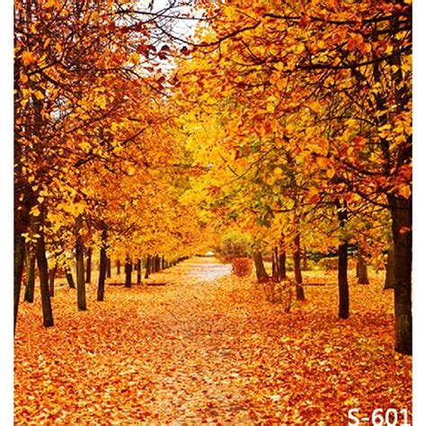 Laeacco Autumn Scenery 3x5ft Vinyl Photography Backdrop Tree And Fall