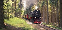 Free Images : forest, track, train, vehicle, rail transport, rolling ...
