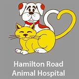 Images of Animal Hospital Columbus Ohio