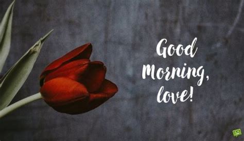 Romantic good morning messages for your love. Good Morning my Love - messages for your lover | Good ...