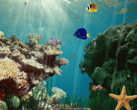 48 Animated Underwater Wallpaper On Wallpapersafari