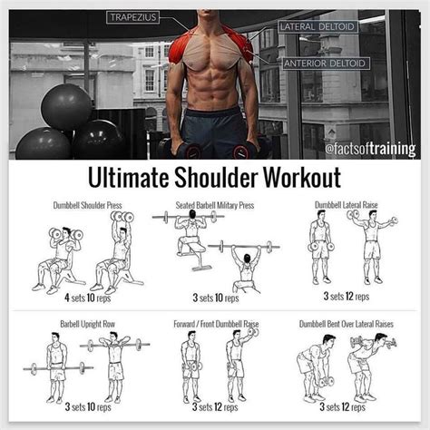 Pin By Shalene Ferrier On Hibfit Shoulder Workout Shoulder Workout