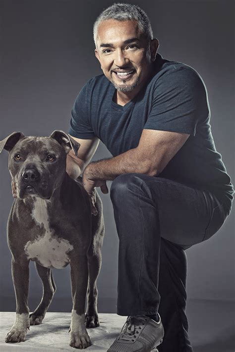 Cesar millan's methods are directed 100% towards having the dog conform to human standards rather than understanding what motivates dogs. 'Dog Whisperer' Cesar Millan Sued Over Alleged Pit Bull ...