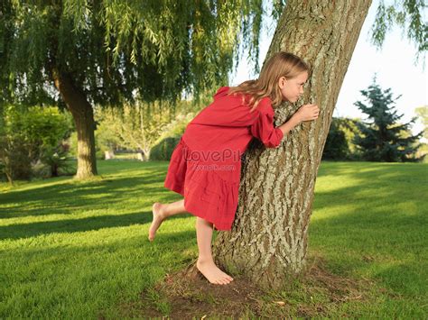 나무 뒤에 숨어있는 어린 소녀 사진 무료 다운로드 Lovepik