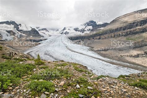 Hiking In Snowbird Pass Trail In Mt Robson Provincial Park Stock Photo