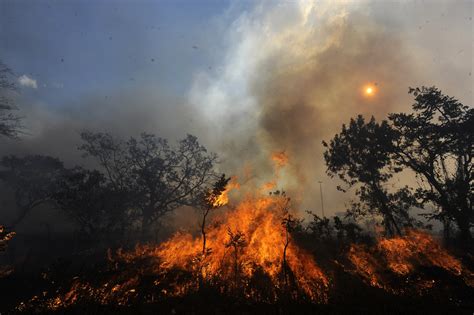 | la comisión nacional de emergencia y desastre agropecuario (cenyda) solicitó al ministerio de agricultura, ganadería y pesca de la nación que decreten la emergencia agropecuaria por los incendios en el bolsón. Incendio forestal devasta 1.000 hectáreas de parque ...