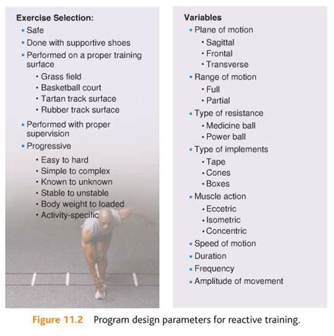 It's through this force generation that you can achieve enormous strength and power gains in your weight lifting. NASM Chapter 11 - Plyometric (Reactive) Training Concepts ...