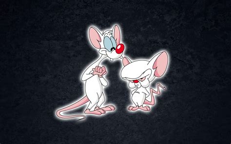 Pinky And The Brain Wallpapers HD