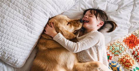 Hollywood Hot Mom (@HollywoodHotMom) / Twitter