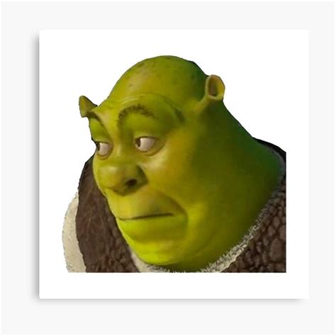 Mike Wazowski And Shrek Face Swap Bhe