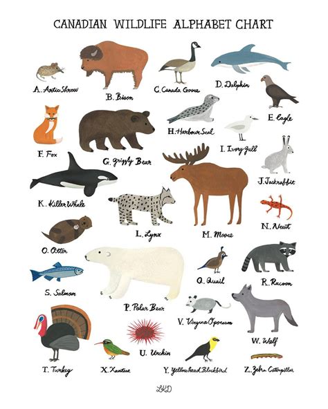 Canadian Wildlife Alphabet Chart Etsy Canada Canadian Wildlife