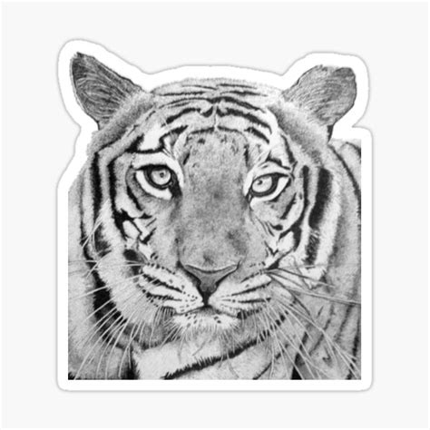 Tigers Eyes Sticker For Sale By Hudson Art Redbubble