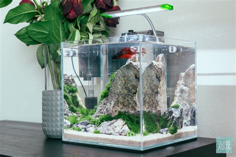 Planted Betta Fish Cube Tank Aquarium Glass Aqua
