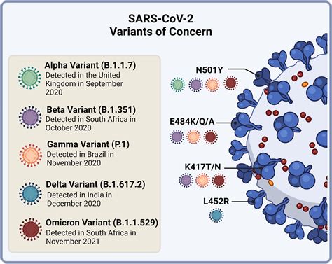 Frontiers Sars Cov Variants Vaccines And Host Immunity