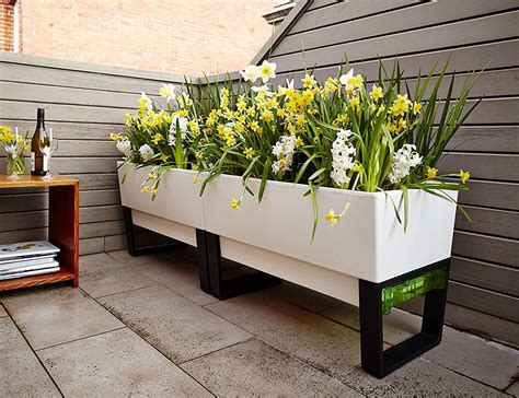 This Self Watering Planter Box Is The Green Thumb You