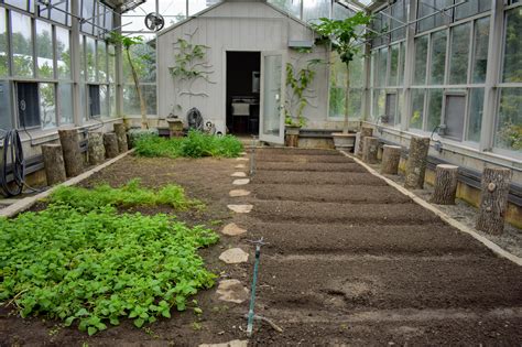 Preparing And Planting My Vegetable Greenhouse The Martha Stewart Blog