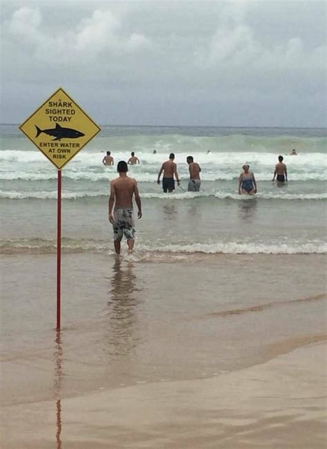 52 Most Embarrassing Yet Amusing Beach Fails With Images