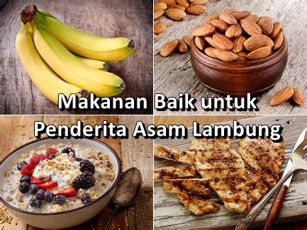 Setelah usia 3 sampai 4 bulan masa kehamilan vitamin a sangat berguna meningkatkan perkembangan otak bayi yang baru terbentuk. Makanan Ini Baik untuk Penderita Asam Lambung