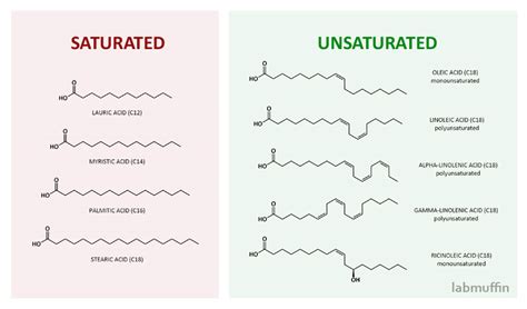 Are Unsaturated Oils Bad For Your Skin Lab Muffin Beauty Science
