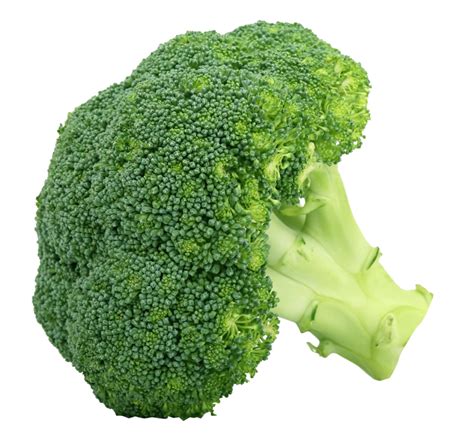 Broccoli Transparent Background Png Image Png 2921 Free Png Images