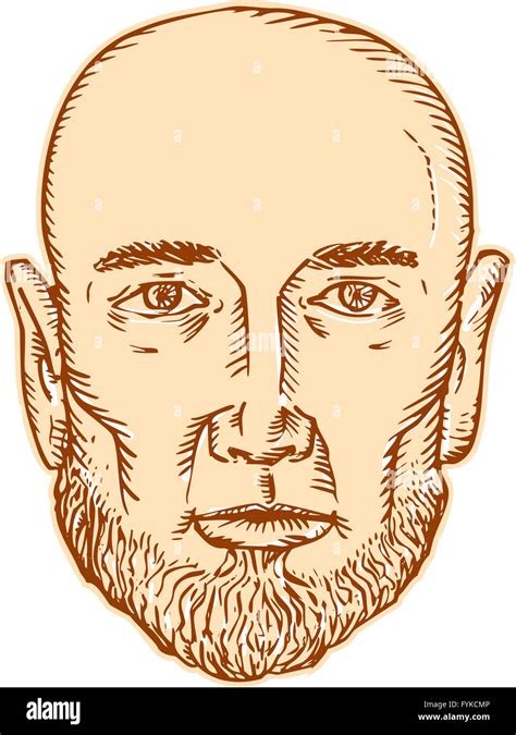 Male Bald Head Bearded Etching Stock Photo Alamy