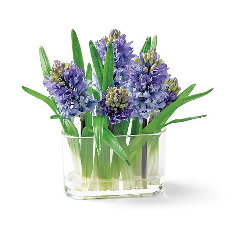 Purple Hyacinth Arrangement Gumps