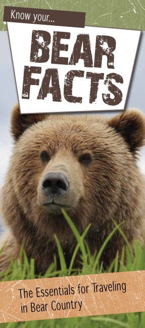 Know Your Bear Facts Brochure Is Available At Alaska Public Lands