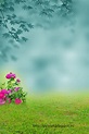 The Best 29 Nature Hd Background Images For Photoshop Editing 1080P ...