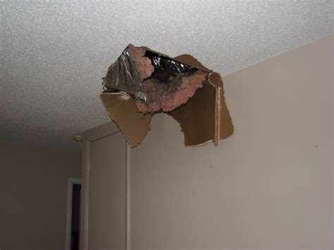 Learn how to repair a damaged ceiling with these easy steps. Barry the cable guy stepped thru my popcorn ceiling- in ...