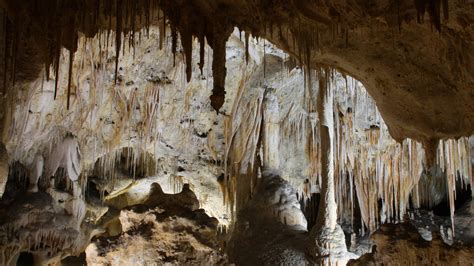 Discover The Incredible Caves Of Carlsbad National Park Discover The