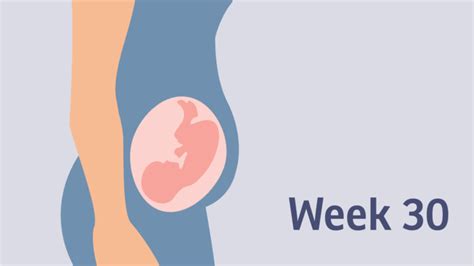Pregnancy At Week 30 Pregnancy Birth And Baby