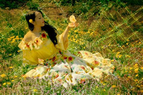 图片素材 树 性质 森林 厂 女孩 草地 阳光 叶 花 弹簧 秋季 黄色 植物群 季节 连衣裙 故事 公主