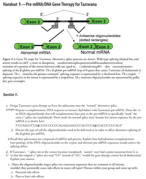 Due to an increasing number of students finding answer keys online, we are no longer providing open access. Complementary Base Handout - Label Dna Replication Process ...