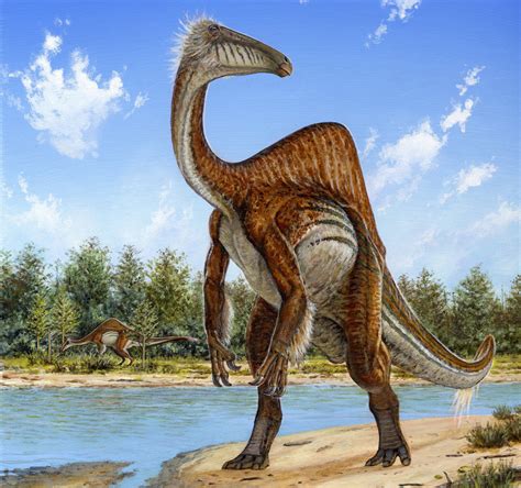 The 15 Most Magnificent Dinosaur Discoveries Of 2014 Huffpost