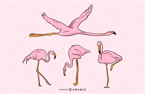 Pink Flamingo Vector Set Vector Download